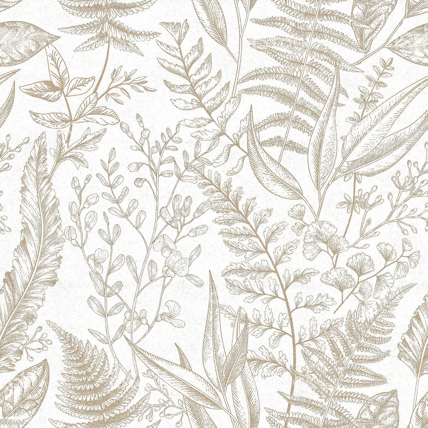 Galerie Botanical Sketch Beige Wallpaper Galerie Botanical Sketch Beige Wallpaper -Homebase Shop 13910505 5714994886277569