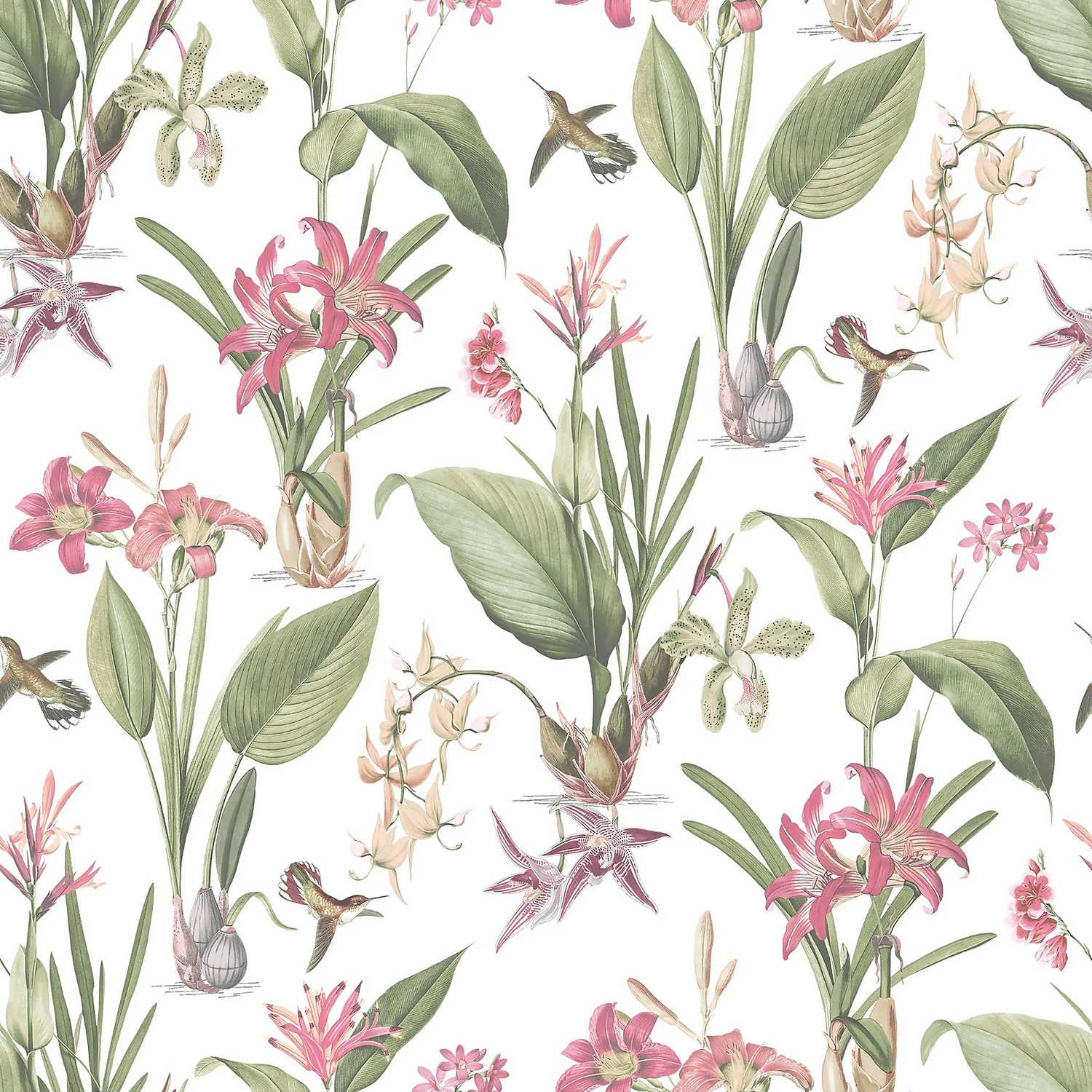 Galerie Botanical Illustration Pink Large Wallpaper Sample Galerie Botanical Illustration Pink Large Wallpaper Sample -Homebase Shop 13910640 5844994887109208